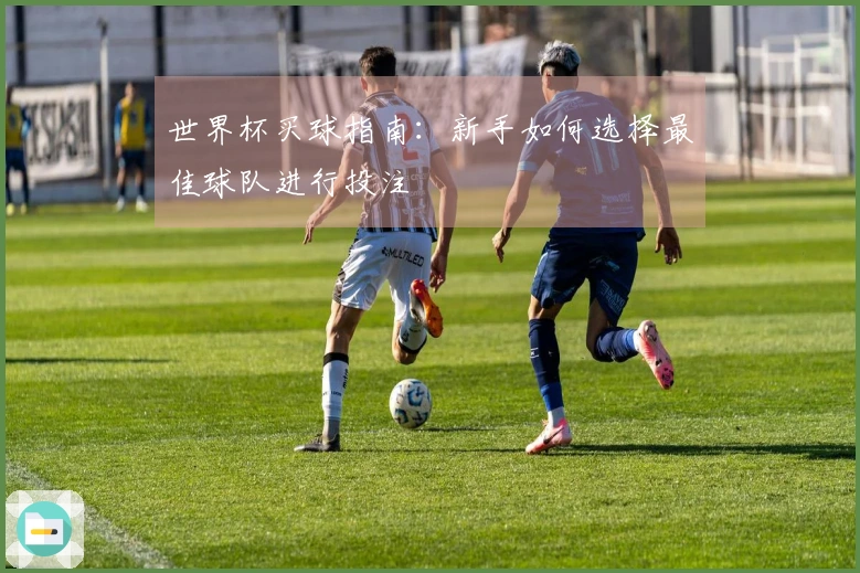 世界杯买球指南：新手如何选择最佳球队进行投注