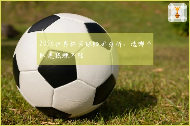 2026世界杯买球赔率分析，选哪个队更稳赚不赔