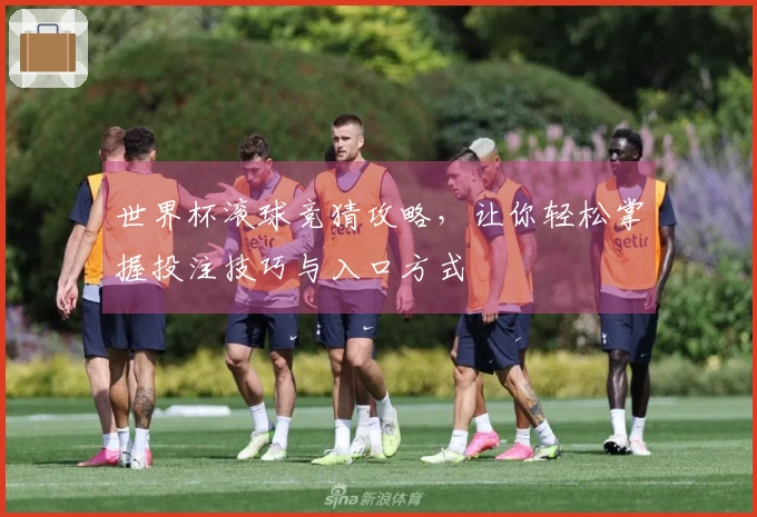 世界杯滚球竞猜攻略，让你轻松掌握投注技巧与入口方式