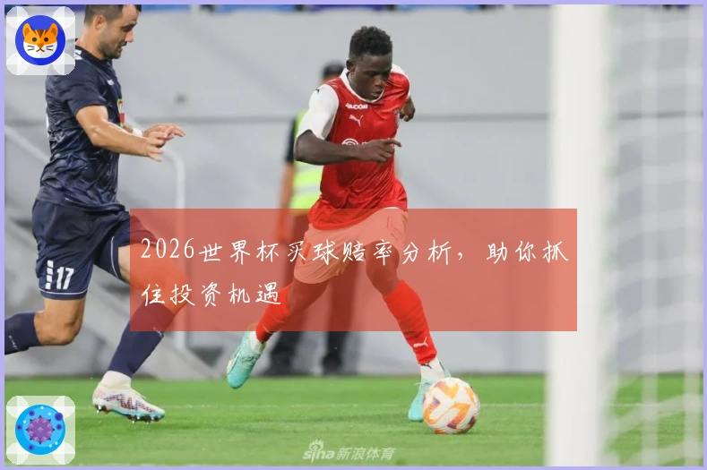 2026世界杯买球赔率分析，助你抓住投资机遇