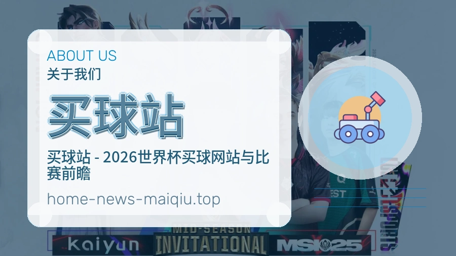 关于 买球站 团队与服务